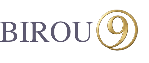 Birou 9 logo
